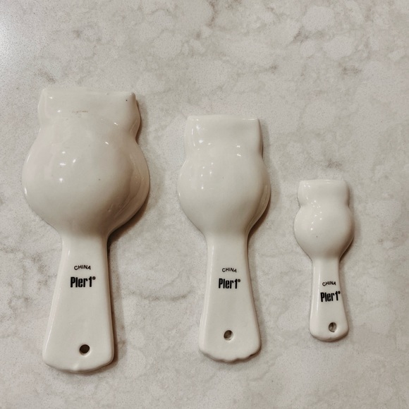 Pier 1 Snow Owl Measuring Spoons - Picture 3 of 3